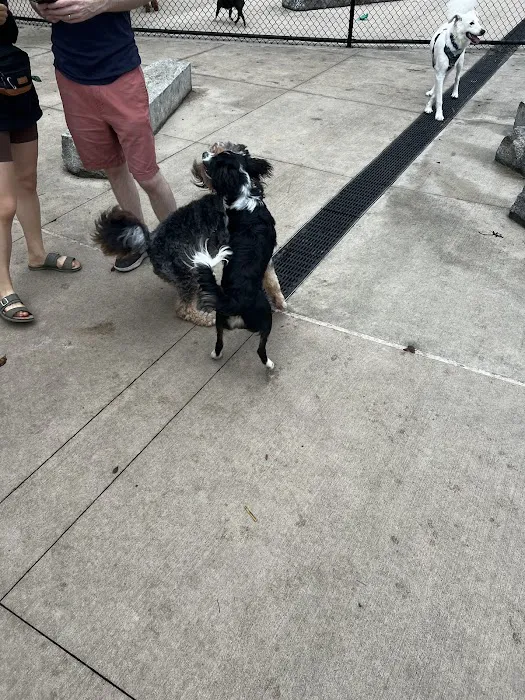 Sven Dog Park 2