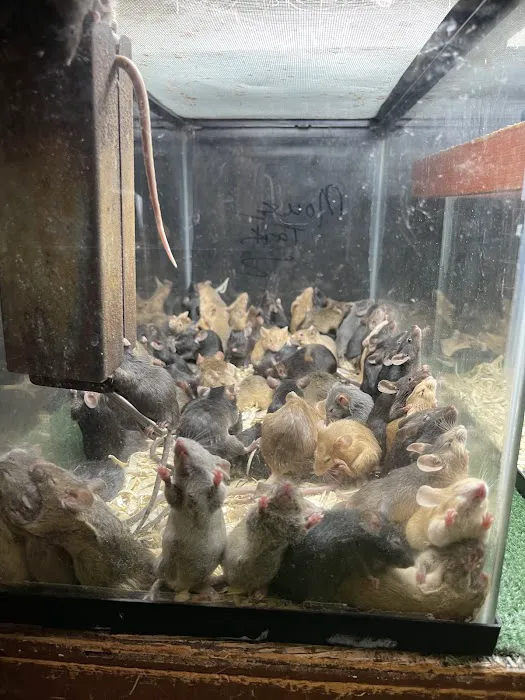 River Valley Pets 1