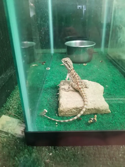 River Valley Pets 6