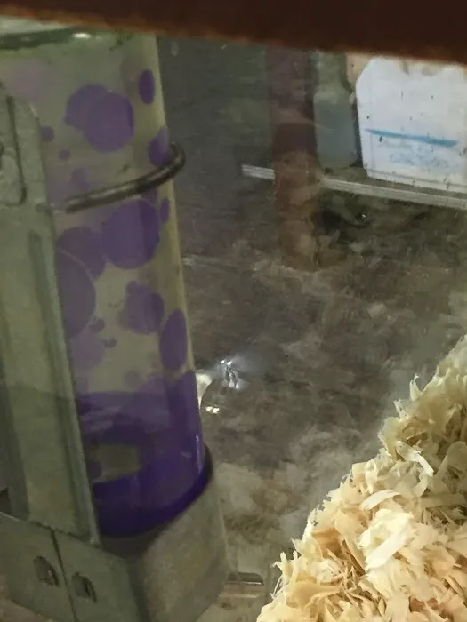 River Valley Pets 7