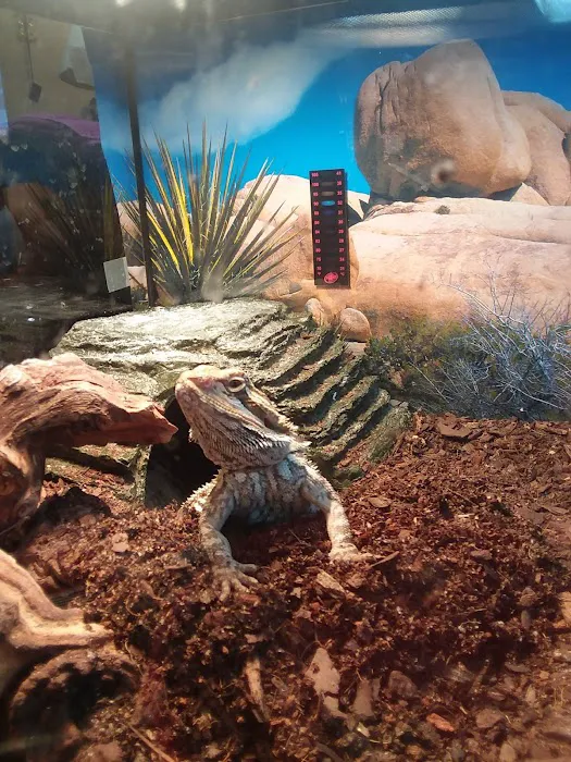 River Valley Pets 9