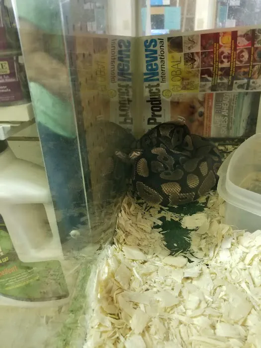 River Valley Pets 5