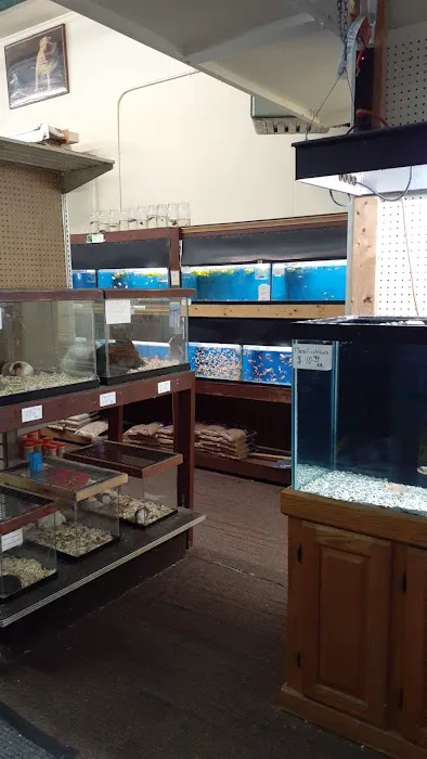 River Valley Pets 8