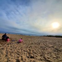 Manhattan Beach Dog Run ico
