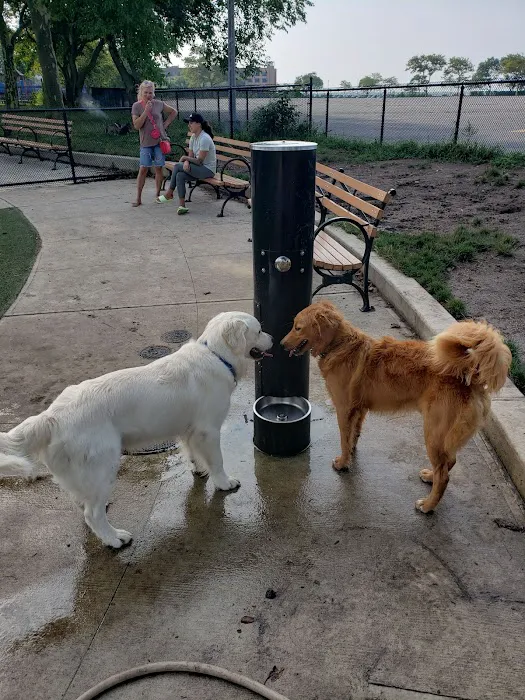 Manhattan Beach Dog Run 3