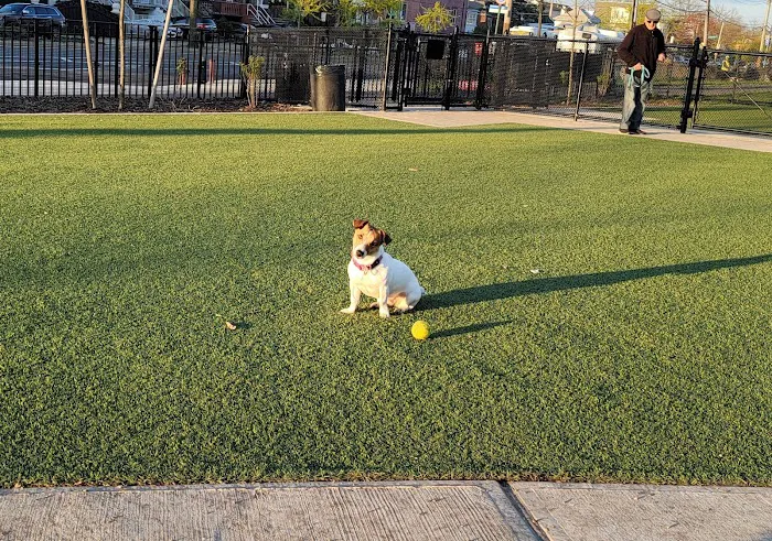 Manhattan Beach Dog Run 4