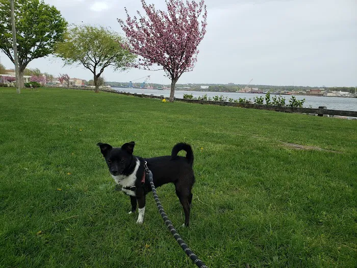 Sgt. Vincent J. Olivia Mini Dog Park 6