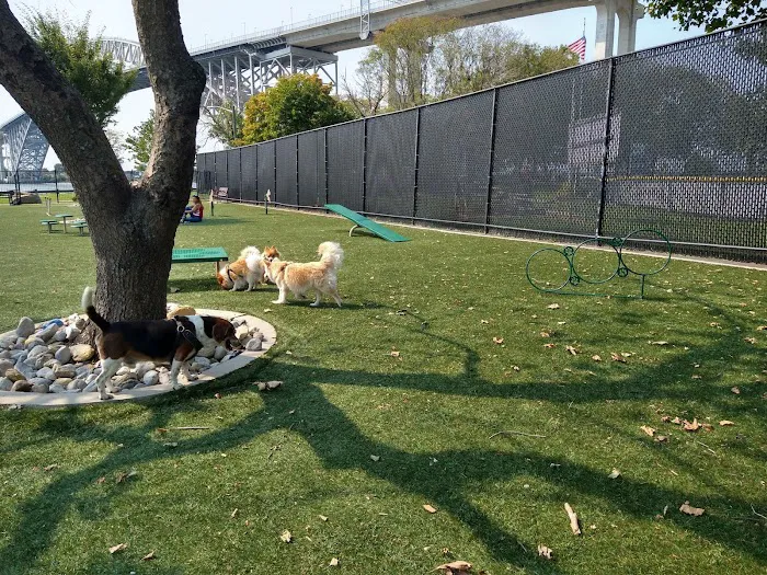 Sgt. Vincent J. Olivia Mini Dog Park 10
