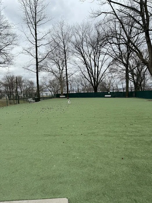 Dog Run 3