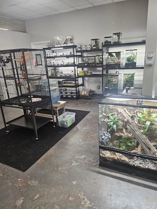 CB&K Exotics 2