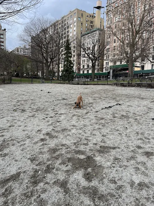 West 72nd Street Dog Run 6