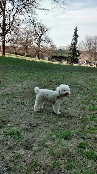 West 72nd Street Dog Run 7