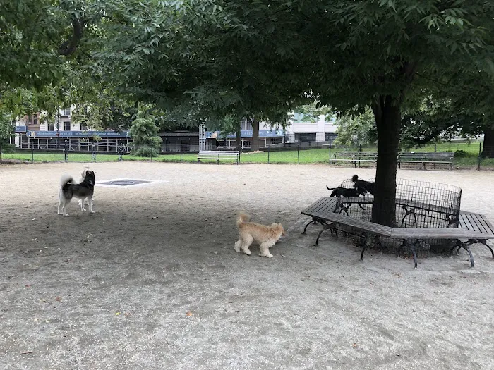 West 72nd Street Dog Run 2