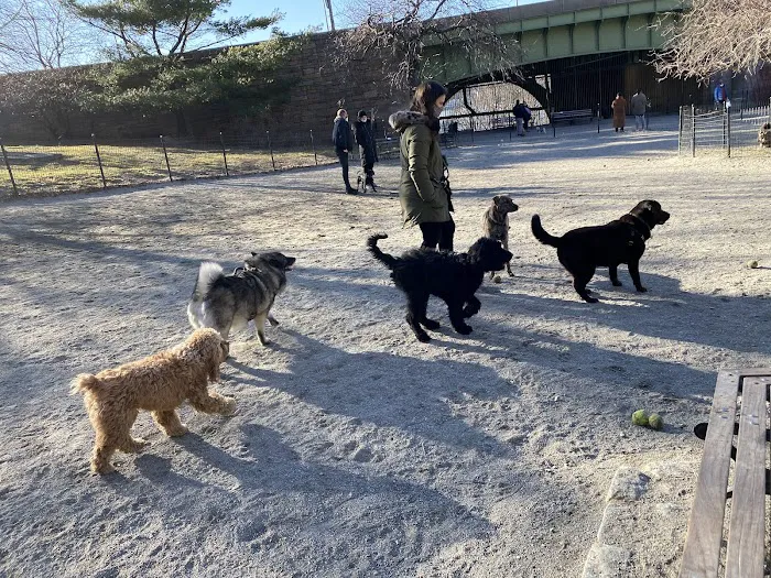 West 72nd Street Dog Run 1