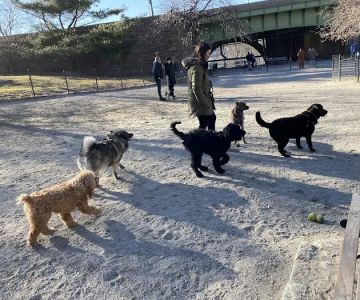 West 72nd Street Dog Run