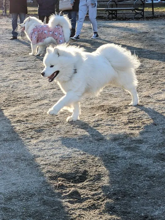 West 72nd Street Dog Run 9