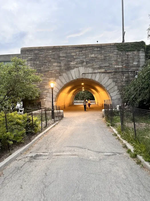 West 72nd Street Dog Run 8