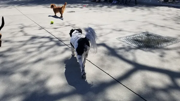 Carl Schurz Park Dog Runs 2
