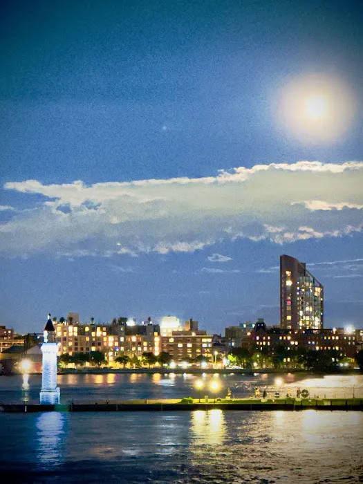 Carl Schurz Park Dog Runs 5