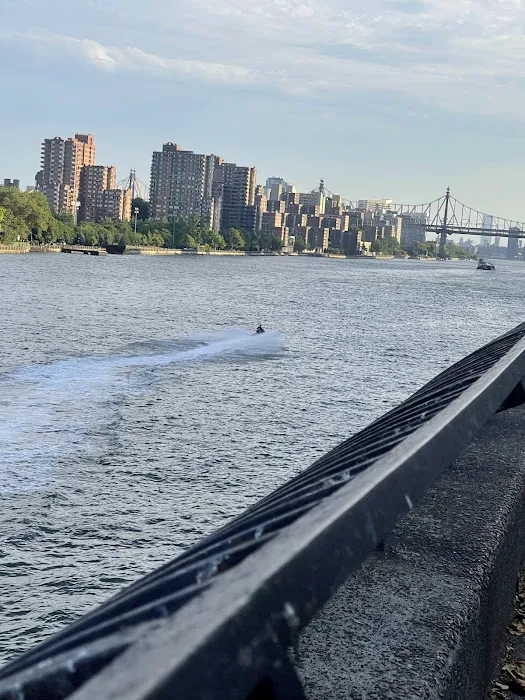Carl Schurz Park Dog Runs 4