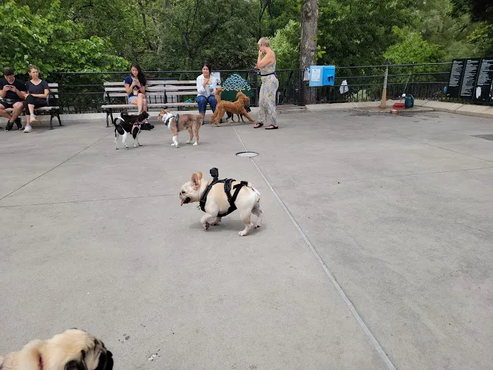 Carl Schurz Park Dog Runs 7
