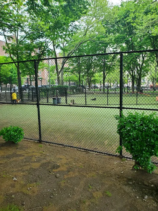 West New York Dog Park 5