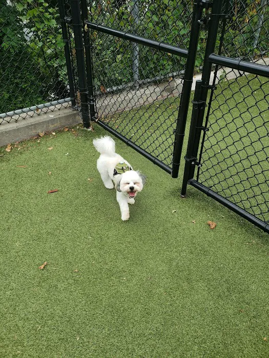 West New York Dog Park 8