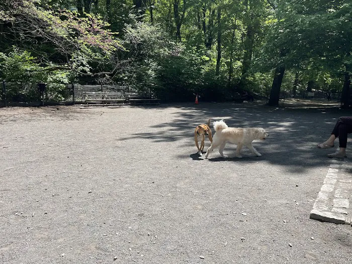 West 87th Street Dog Run 6