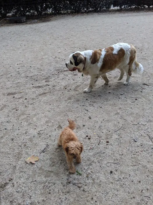105th Street Dog Run 1