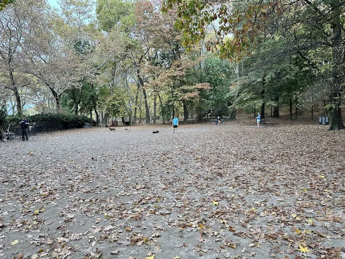 105th Street Dog Run 8
