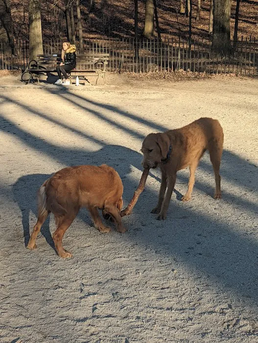 105th Street Dog Run 5