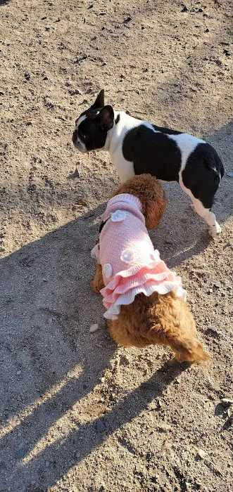 105th Street Dog Run 7