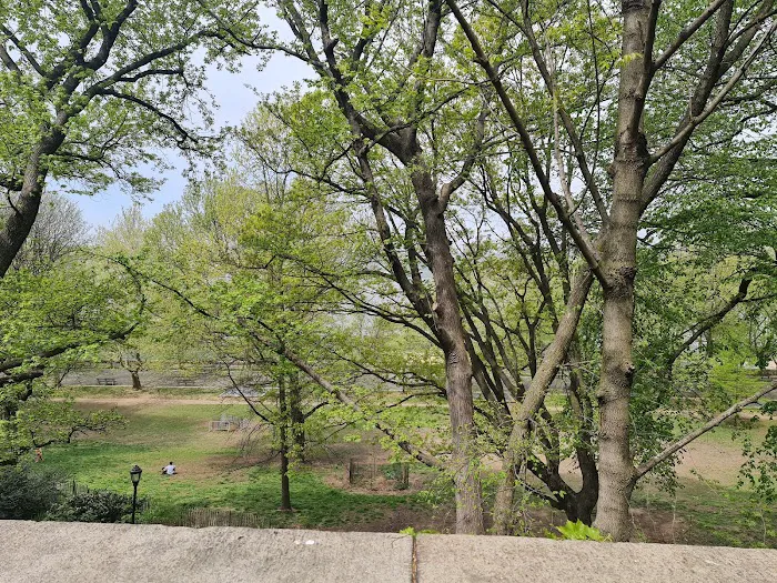 105th Street Dog Run 10