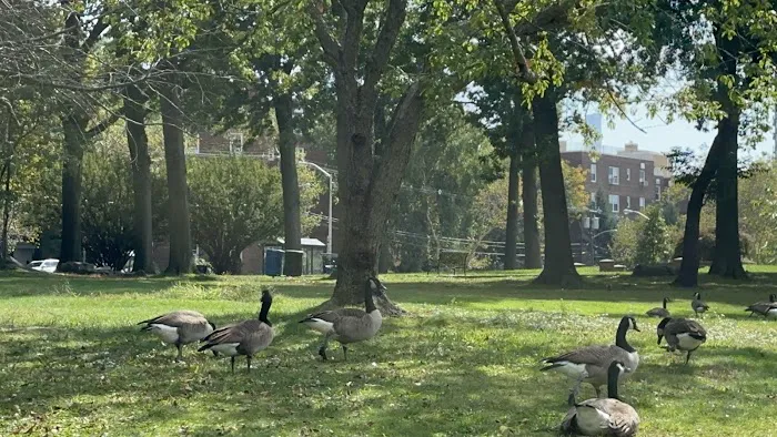 North Hudson County Park - Dog Park 2