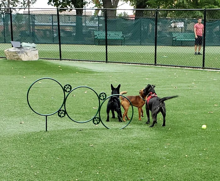 North Hudson County Park - Dog Park 5