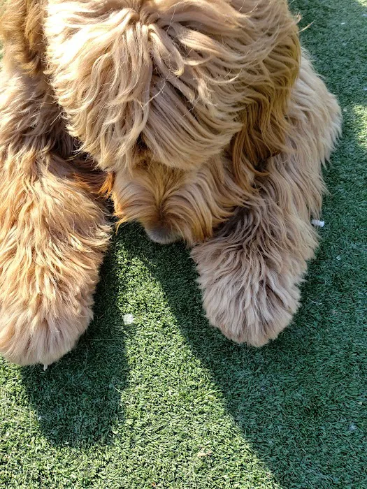 North Hudson County Park - Dog Park 3