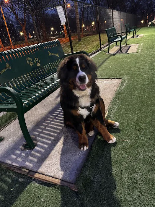 North Hudson County Park - Dog Park 8