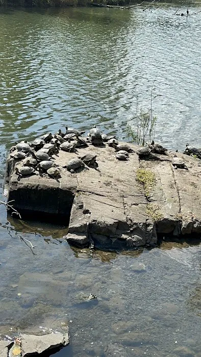 North Hudson County Park - Dog Park 6