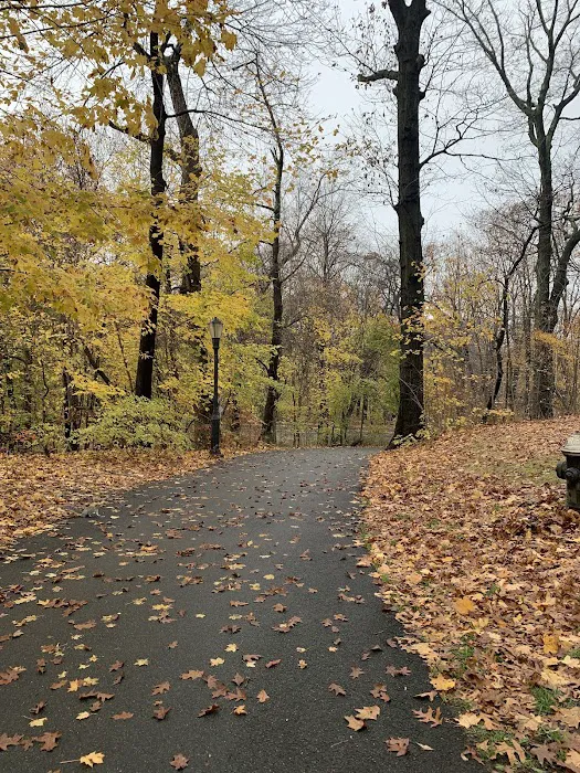 Forest Park Barking Lot 3