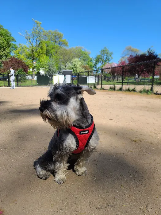 Forest Park Barking Lot 6