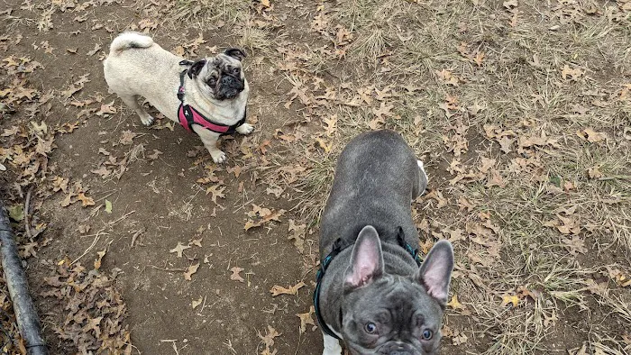 Forest Park Barking Lot 4