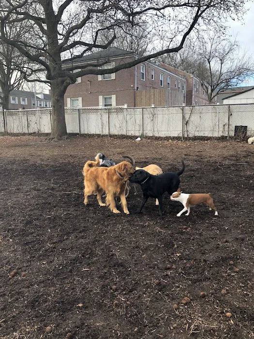 Underbridge Dog Run 8