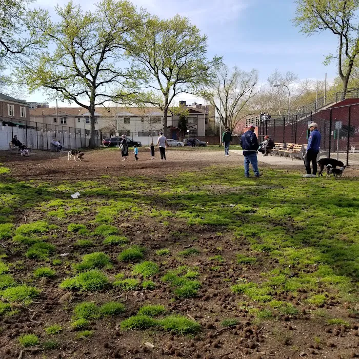 Underbridge Dog Run 6
