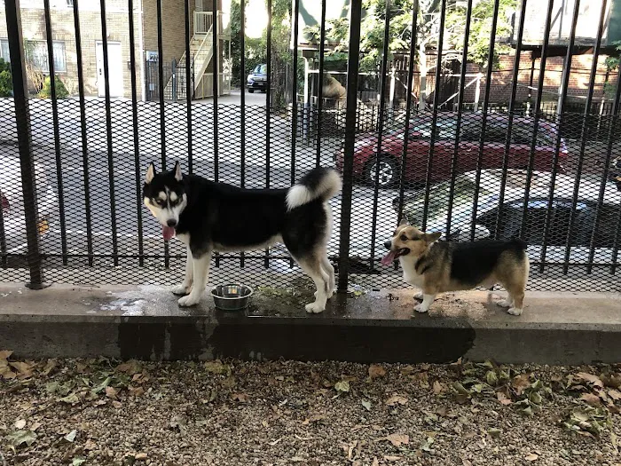 JH Crew Dog Park (Member Only) 2
