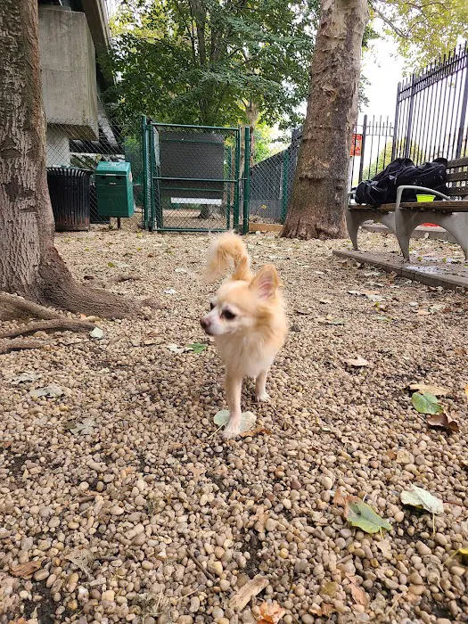 JH Crew Dog Park (Member Only) 7