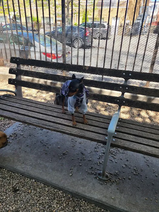JH Crew Dog Park (Member Only) 6