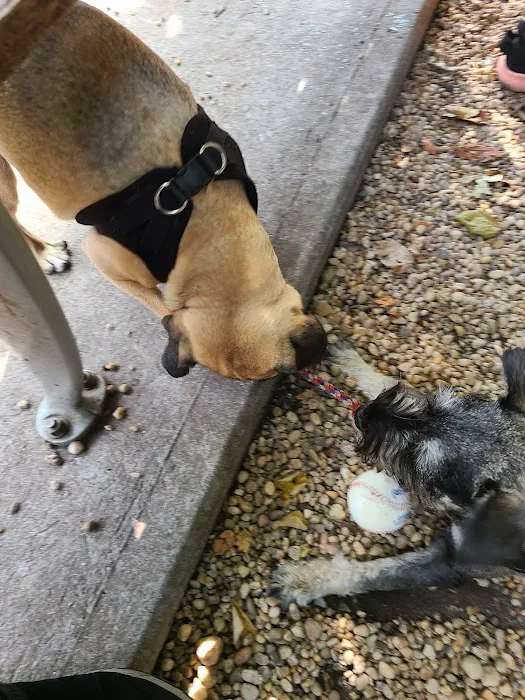 JH Crew Dog Park (Member Only) 10