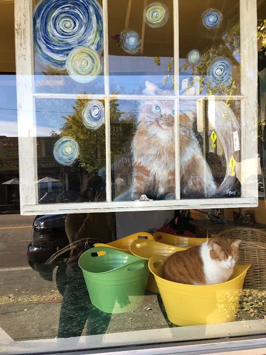 House of Mews 1