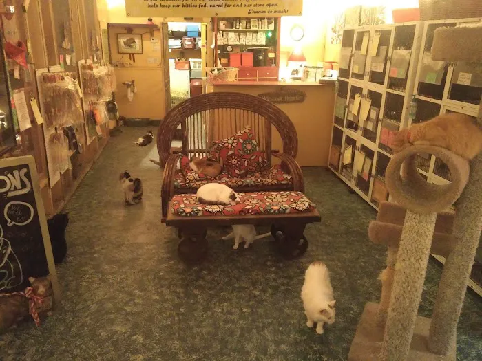 House of Mews 6