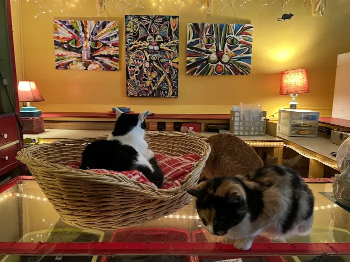House of Mews 10
